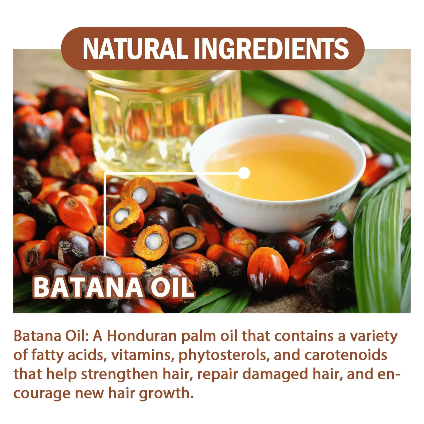 Batana Oil Natural Ingredients